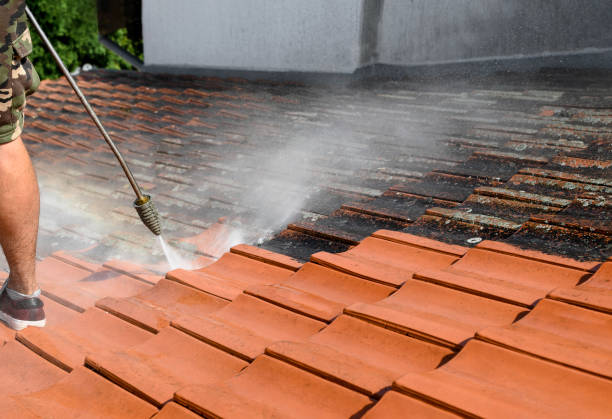 Best Power Washing Near Me  in Longwood, FL