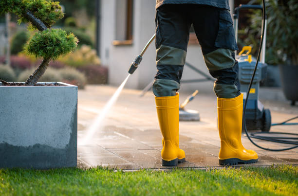 Best Residential Pressure Washing Services  in Longwood, FL